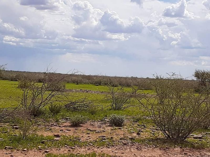 Live the Farm Life: 7625 Hectares of Farm Opportunity in Rehoboth - Photo 2