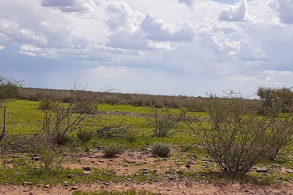 Live the Farm Life: 7625 Hectares of Farm Opportunity in Rehoboth - Photo 2