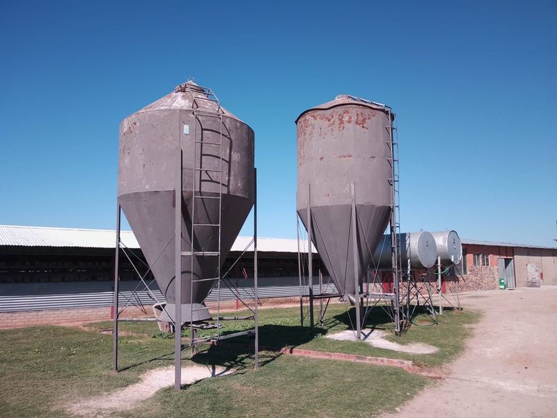 VAT REGISTERED EGG / LIVESTOSCK  FARM  STABIL HUGE INCOME PER MONTH - Photo 8