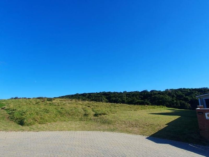 Vacant Plot for Sale - best views in Royalston Wildlife Estate - Photo 2