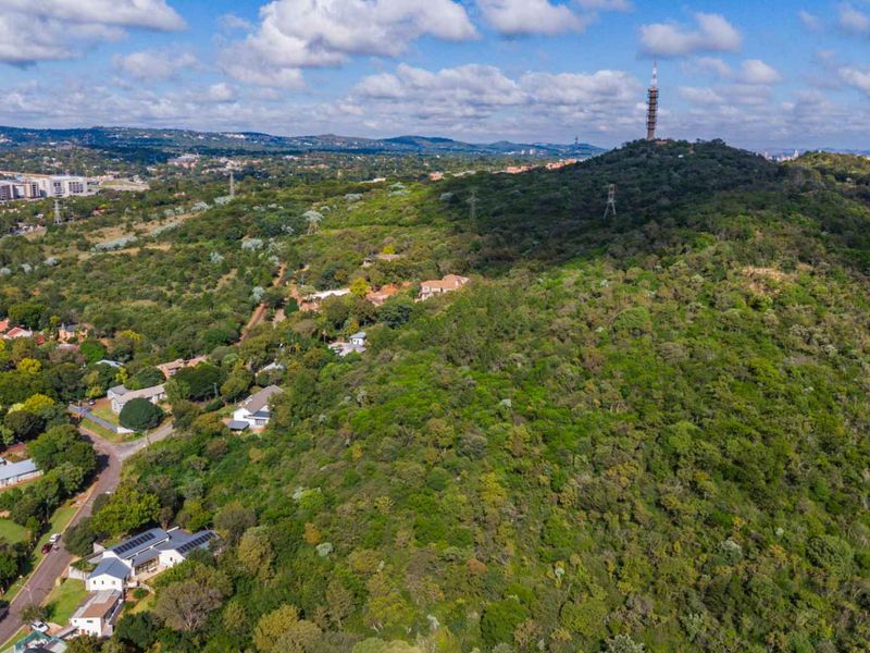 Hilltop Land For Sale - Photo 4