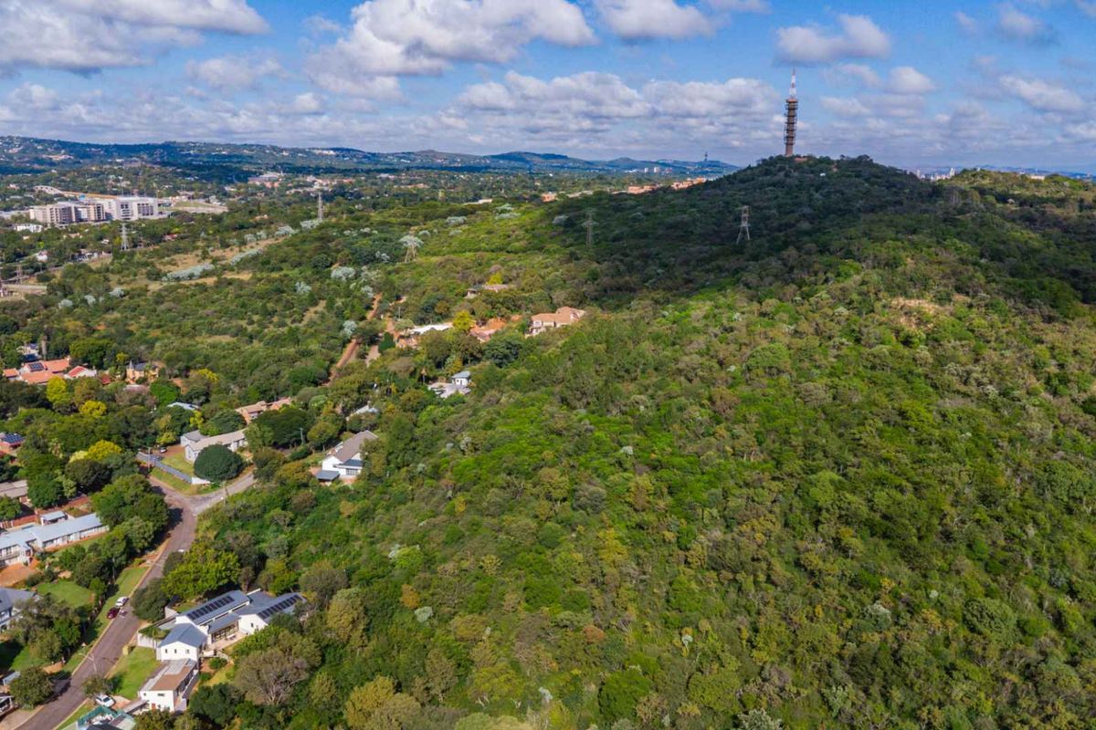 Hilltop Land For Sale - Photo 4