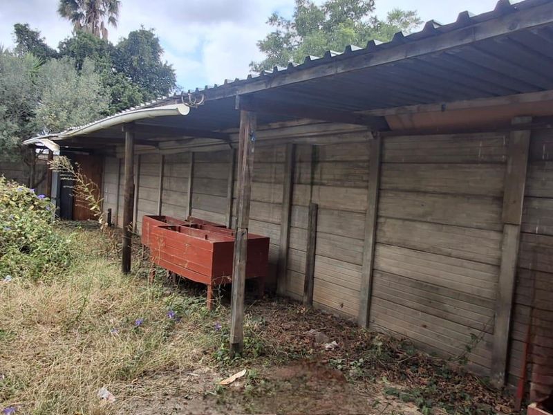 Canvas of Dreams: Build Your Future in Heidelberg! - Photo 4