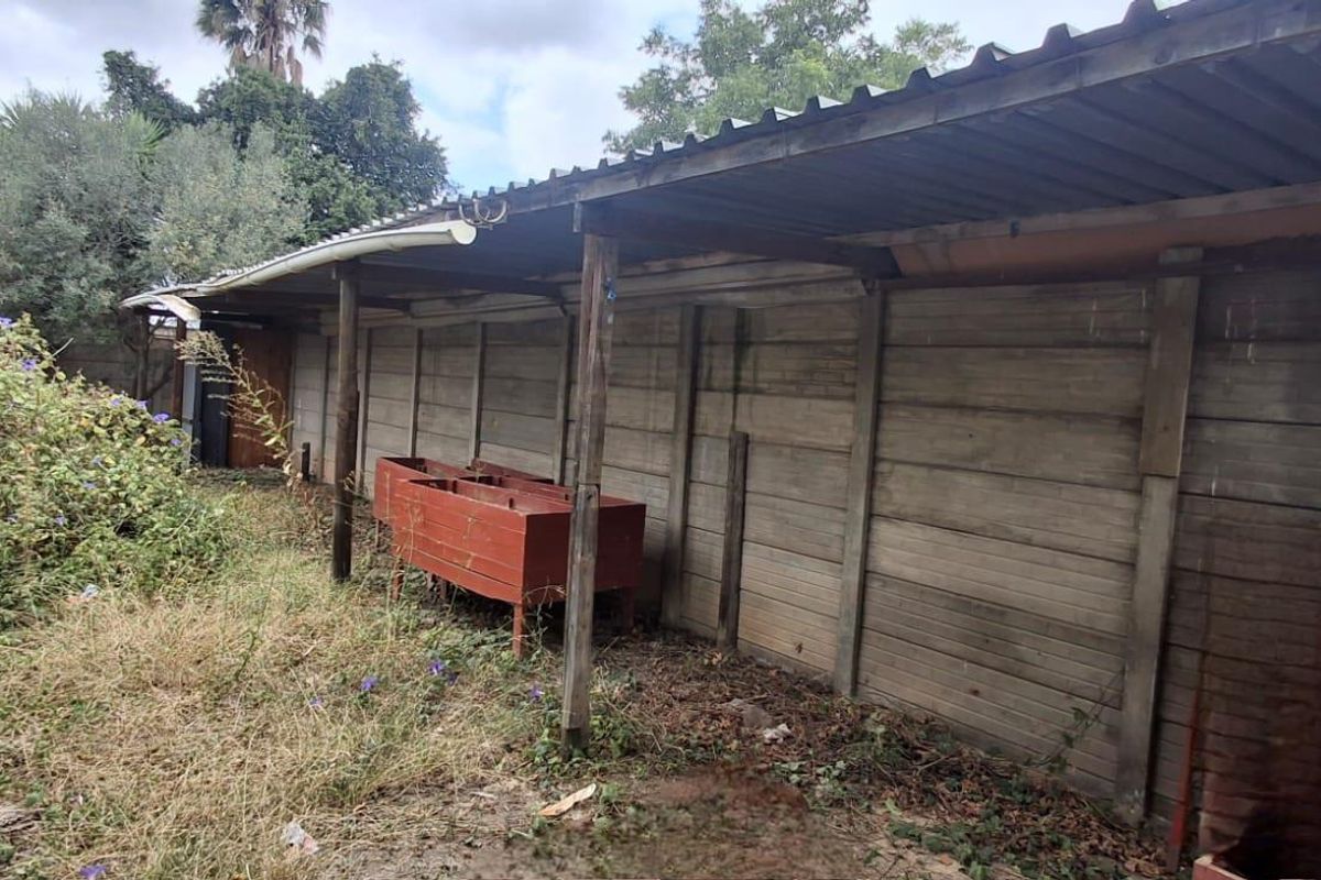 Canvas of Dreams: Build Your Future in Heidelberg! - Photo 4