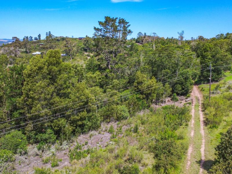 177-Hectare Riverfront Property Near Knysna - Photo 9