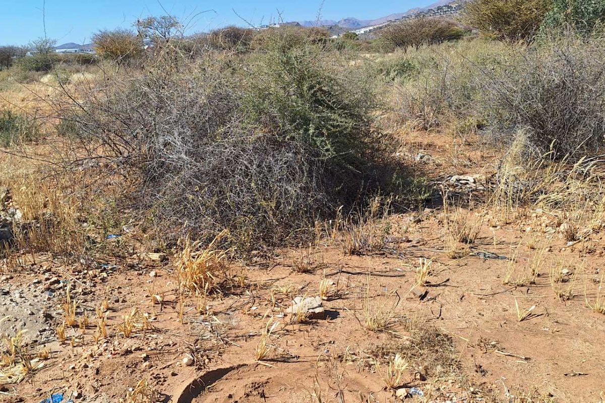 "2384m2 Business Plot in Okahandja: Your Next Big Venture!" - Photo 3