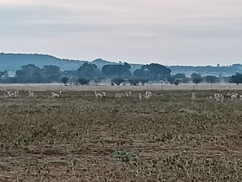 TOTALY OFF GRIDD SMALL FARM. RENTAL INCOME.  ENDLESS POTENTIAL. - Photo 4