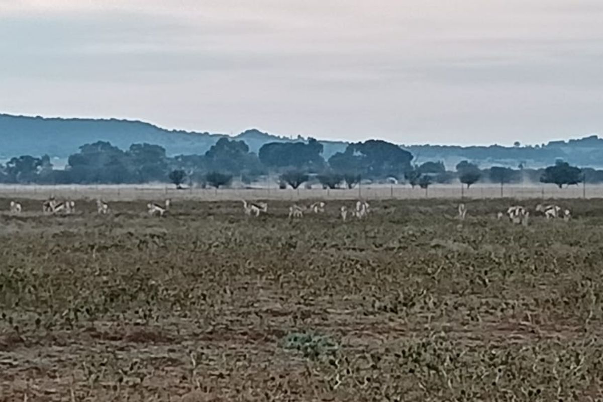 TOTALY OFF GRIDD SMALL FARM. RENTAL INCOME.  ENDLESS POTENTIAL. - Photo 4