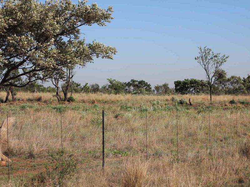 An expansive, undeveloped plot of land featuring natural dry grass, scattered indigenous trees, and simple wire perimeter fencing.