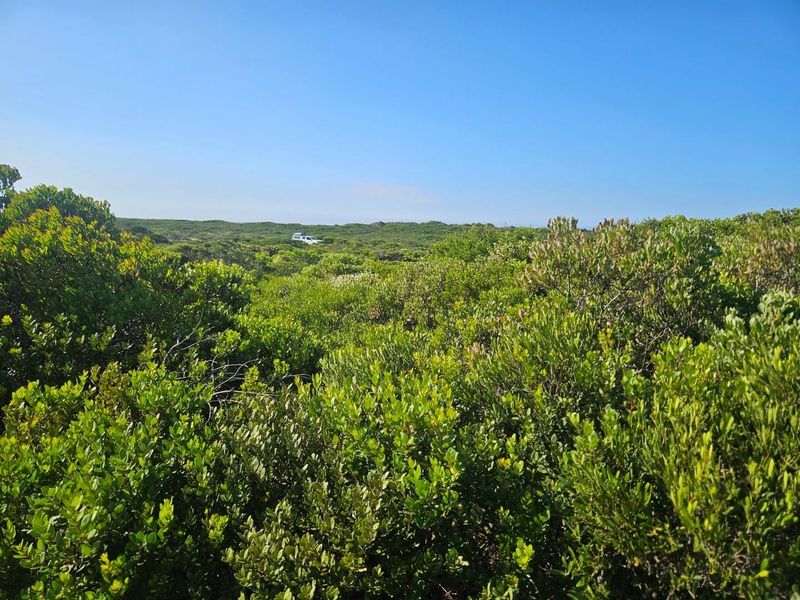 Business Opportunity - Photo 7