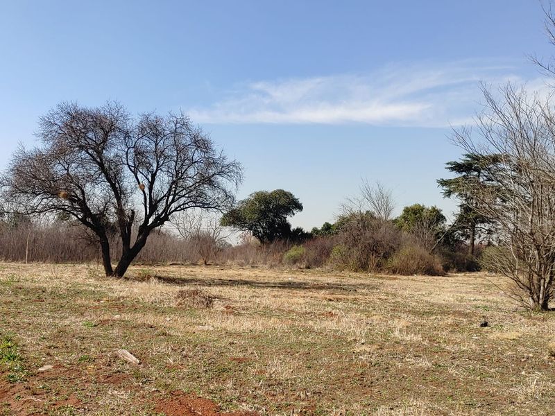 A view of a vacant commercial land plot featuring natural vegetation and mature trees under a clear blue sky.