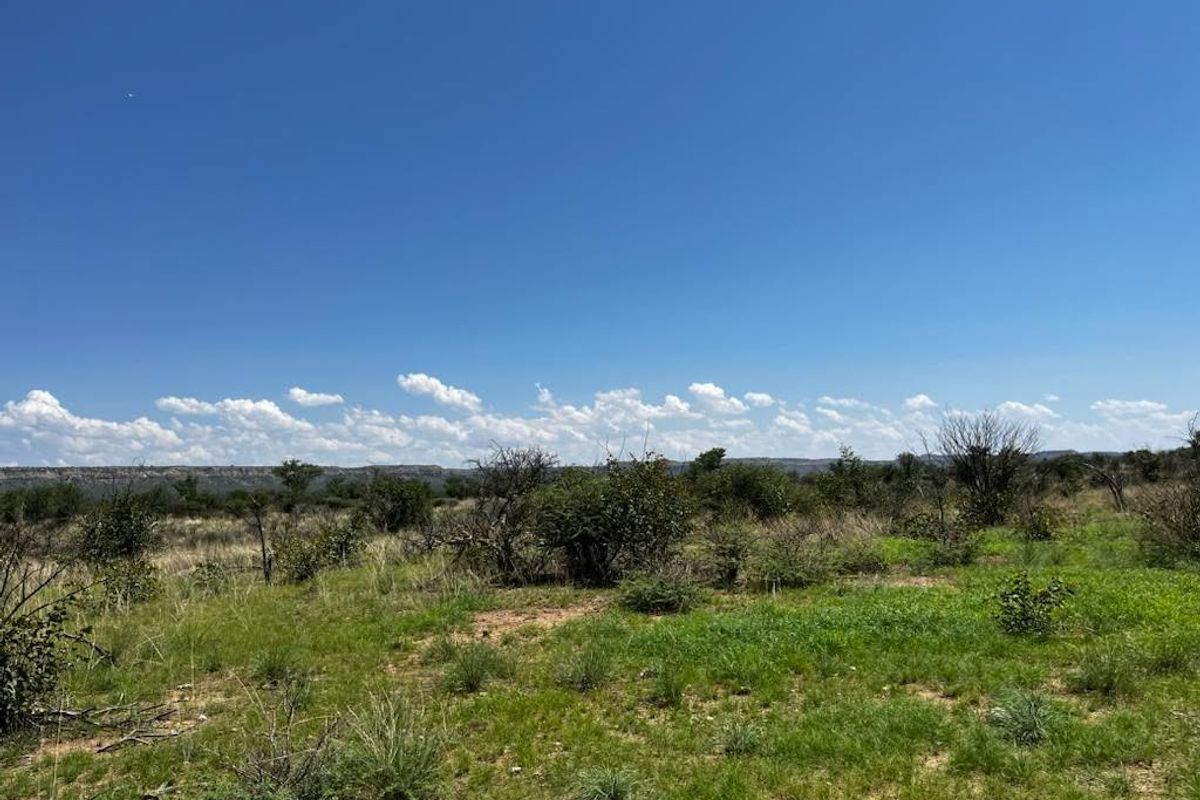 Expansive view of the natural farm landscape featuring native vegetation and open fields under a clear blue sky.