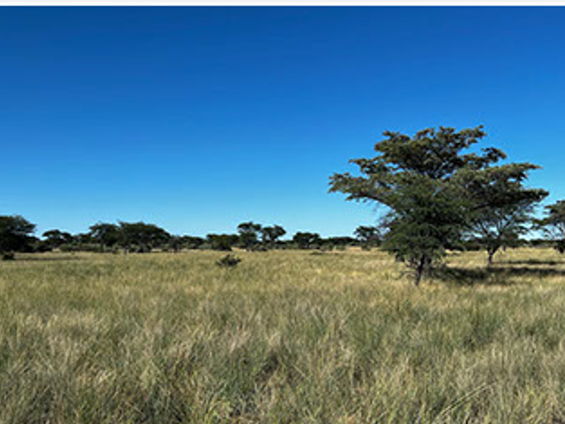 Beautiful Namibian Lodge with loads to offer - Photo 10