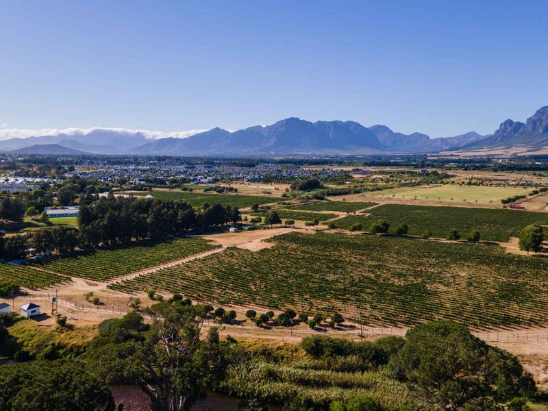 Build a 27 Hectare Legacy Estate on a Scenic Winelands Landscape at Val de Vie Estate - Photo 5