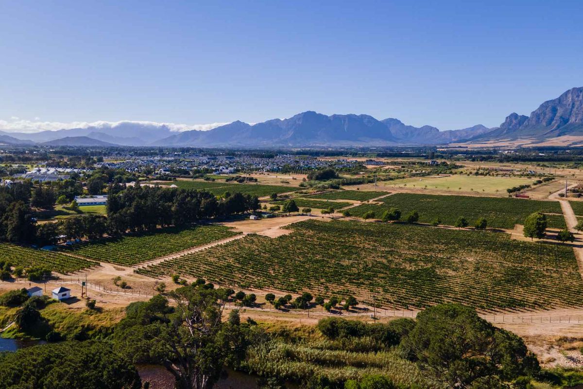 Build a 27 Hectare Legacy Estate on a Scenic Winelands Landscape at Val de Vie Estate - Photo 5