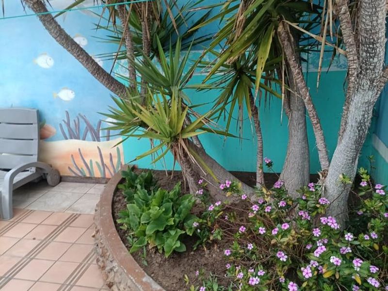 A small garden area featuring a raised stone planter, tiled patio flooring, and a decorative mural on the boundary wall.