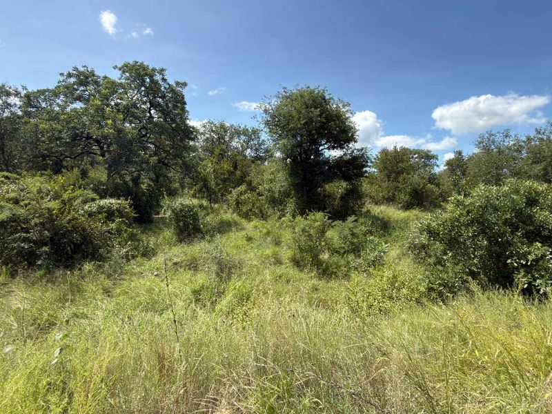 Prime Development opportunity between Hoedspruit and Phalaborwa - Photo 9