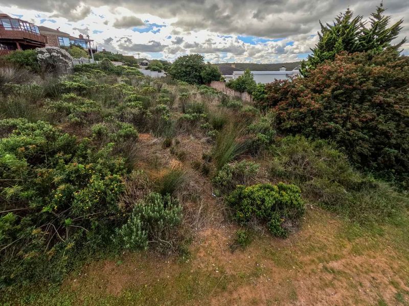 Exclusive Stand for Sale – Embrace Coastal Living - Photo 2