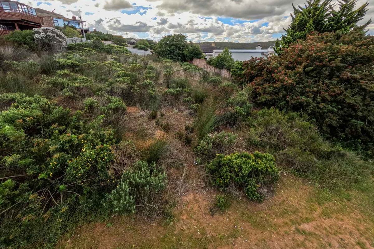 Exclusive Stand for Sale – Embrace Coastal Living - Photo 2