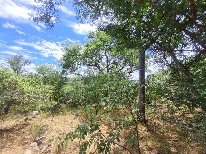 Excellent location - Photo 6