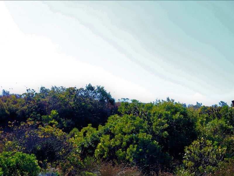 Spacious and Serene: Dana Bay's Premier Stand for Sale - Photo 7