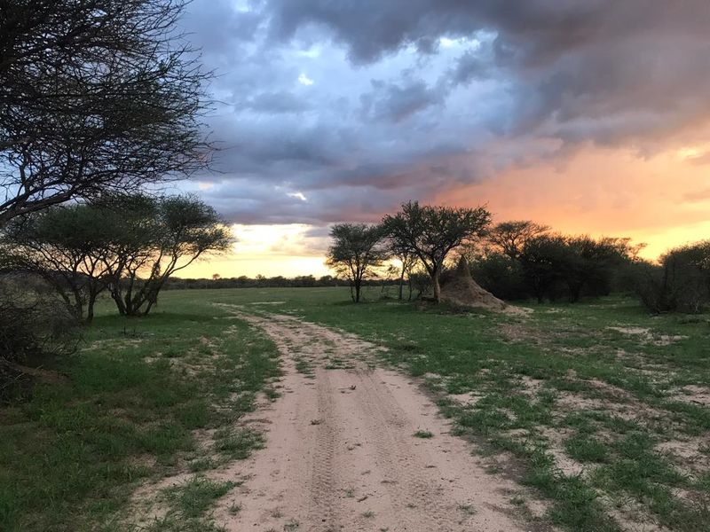 A scenic view of the small holding property featuring a dirt track leading through open veld with indigenous trees and a natural termite mound.