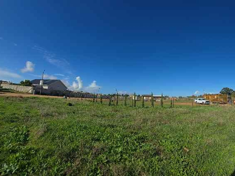 Prime Multi-Use Vacant Land for Sale: Ideal for Homesteading - Photo 2