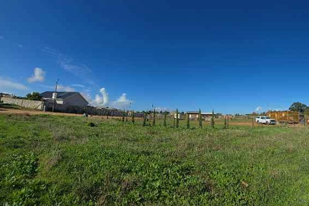 Prime Multi-Use Vacant Land for Sale: Ideal for Homesteading - Photo 2