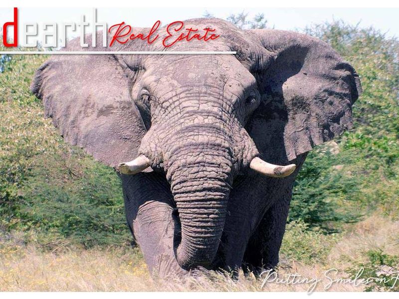 “Your Gateway to Untouched Wilderness” - Photo 3