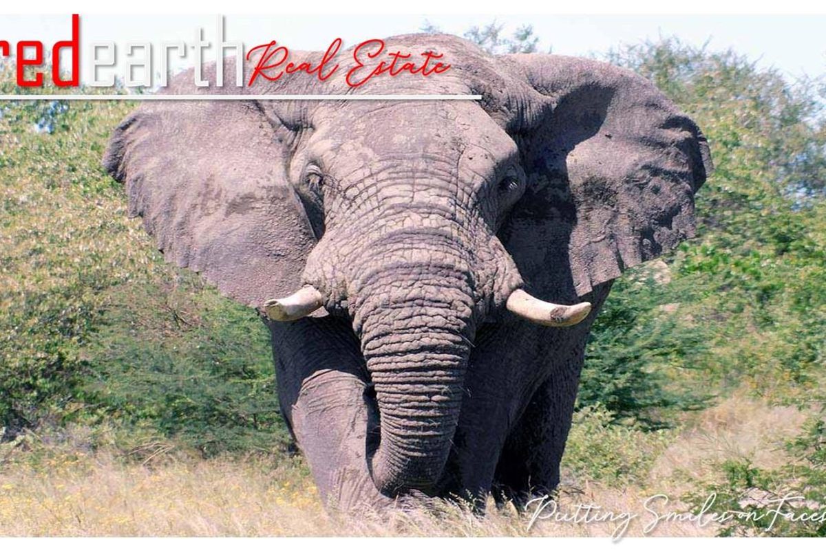 “Your Gateway to Untouched Wilderness” - Photo 3