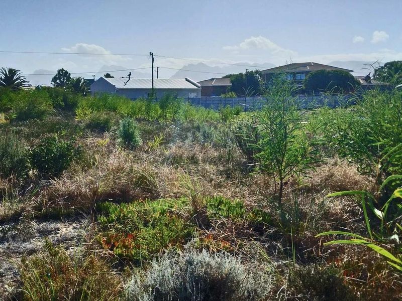 Home is where the herd is... - Photo 5