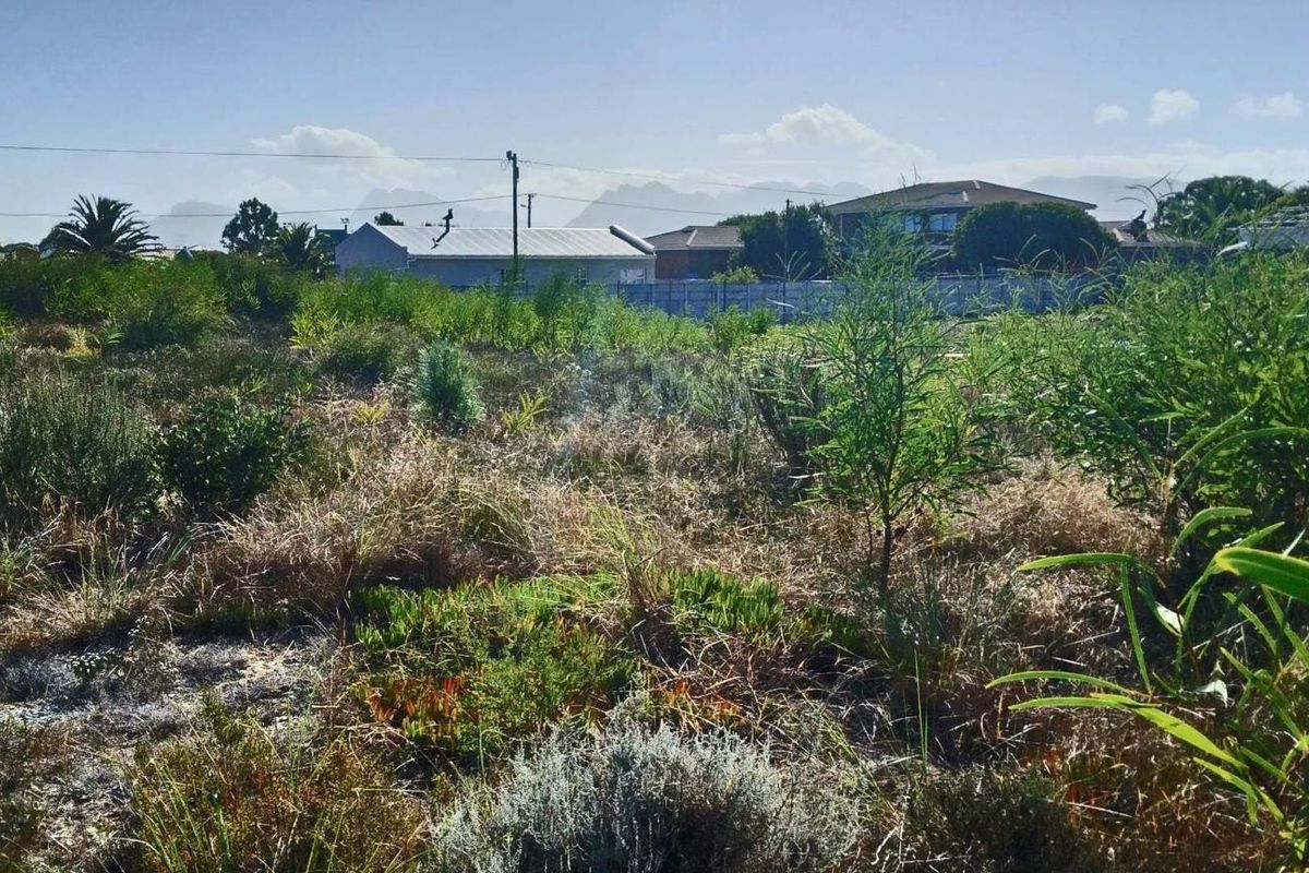 Home is where the herd is... - Photo 5