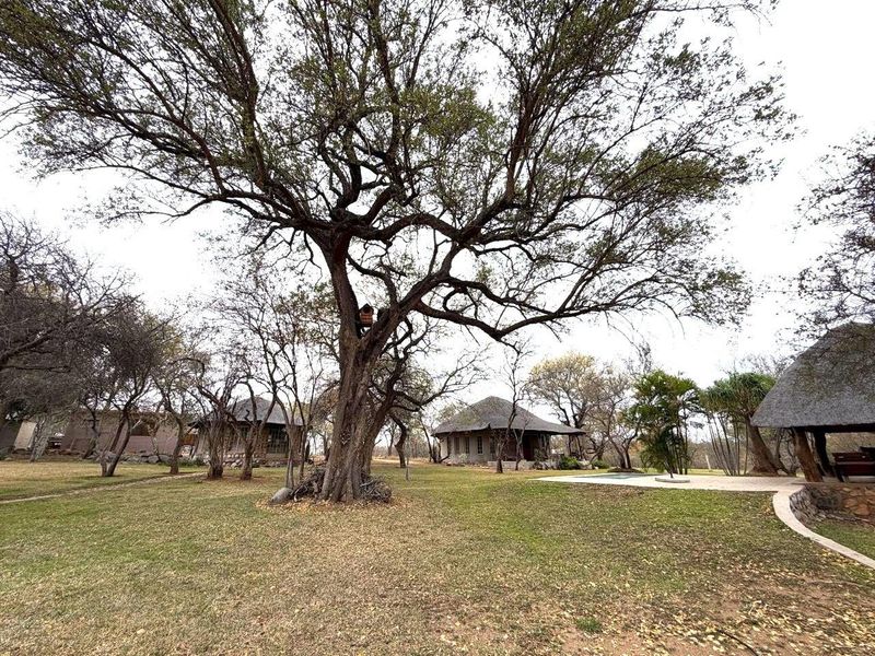 Spacious garden area featuring mature trees, multiple thatched-roof dwellings, and a swimming pool with a paved patio surround.