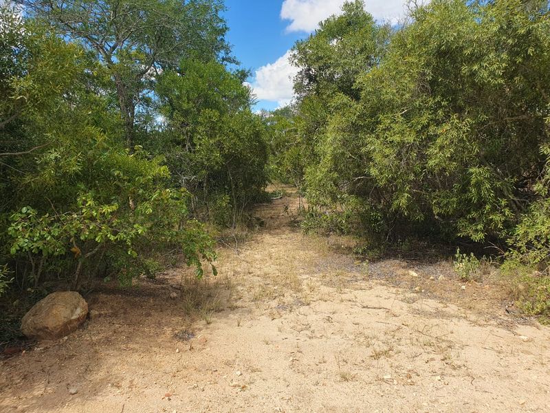 Welcome to the South African bushveld!   Lovely vacant riverbed stand for sale! - Photo 4