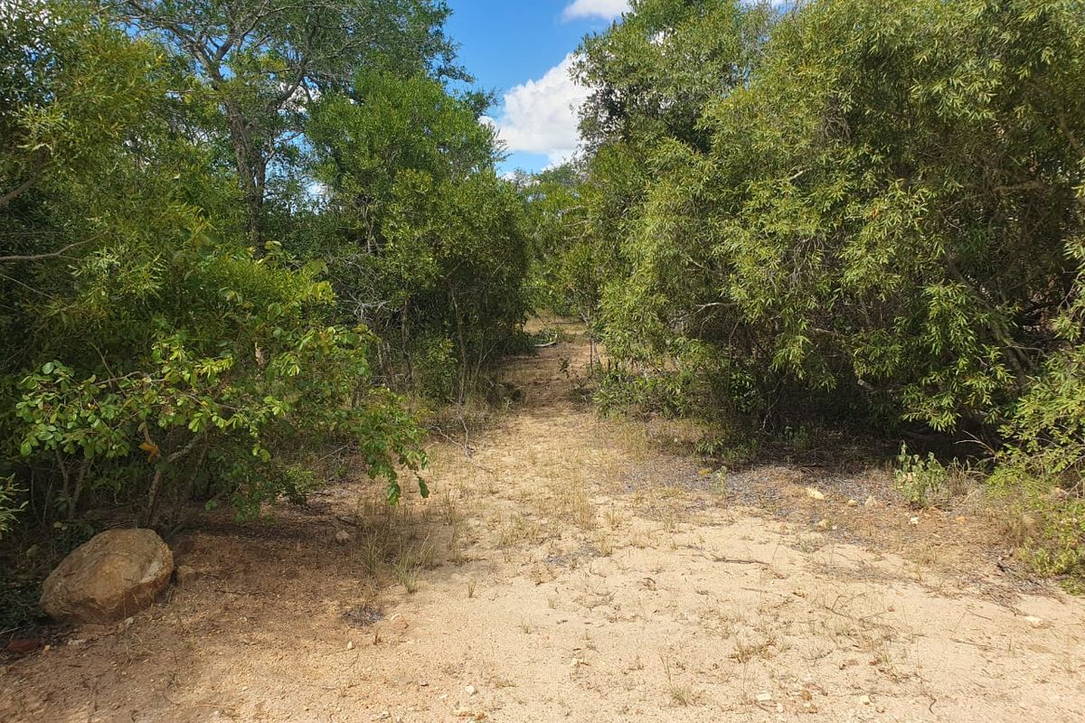 Welcome to the South African bushveld!   Lovely vacant riverbed stand for sale! - Photo 4