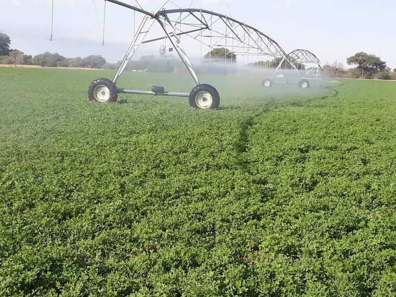 OKAHANDJA | ESTABLISHED AGRI-BUSINESS FOR SALE - Photo 2