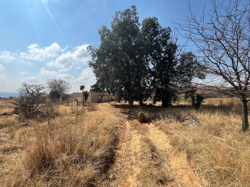 Huge Land with lots of potential - Photo 3