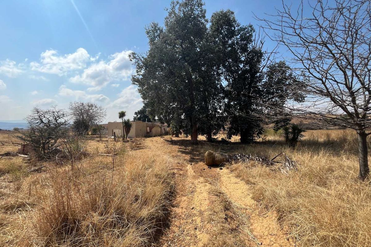 Huge Land with lots of potential - Photo 3