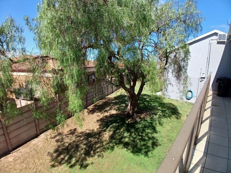 A view from an elevated balcony overlooking a private garden area with a large mature tree and perimeter boundary walling.