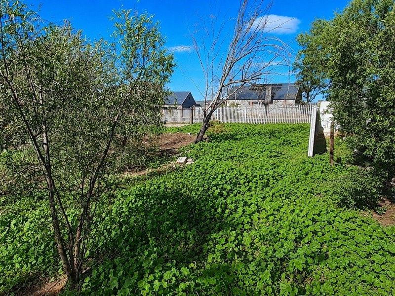Prime Vacant Land Opportunity in West Bank - Photo 6