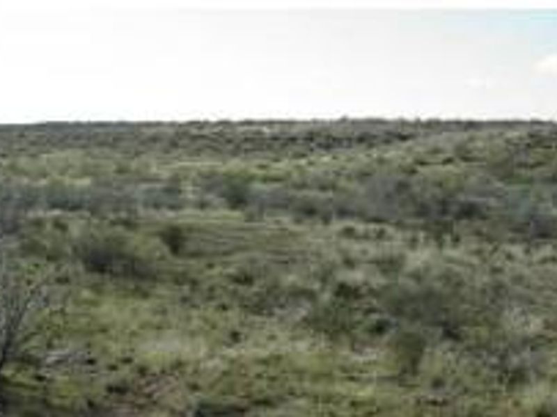 Commercial Agricultural Farm for Sale-Maltahohe - Photo 9