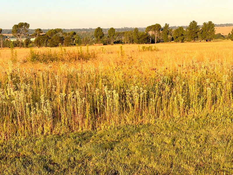 VACANT LAND FOR SALE IN ALLEWYNSPOORT - Photo 3