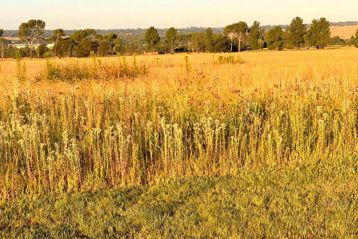 VACANT LAND FOR SALE IN ALLEWYNSPOORT - Photo 3