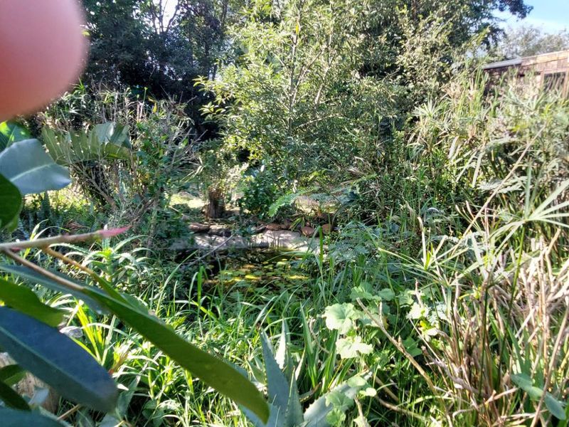 Bathurst Plot with Shed Converted into Cottage - Photo 4