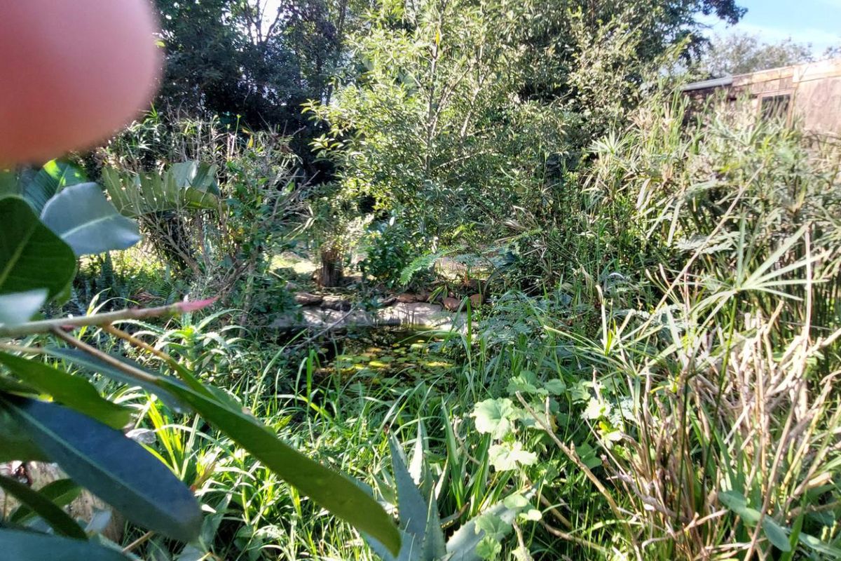 Bathurst Plot with Shed Converted into Cottage - Photo 4