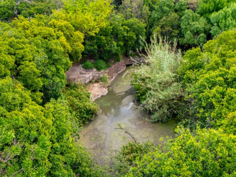 Exquisite Equestrian Estate for Rent in Beaulieu - Photo 7