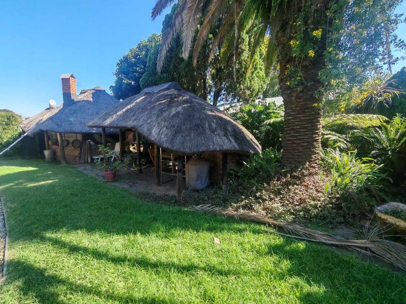 GOLDEN OLDIE - SPACIOUS WITH GRANNY FLAT ON BIG STAND - Photo 5