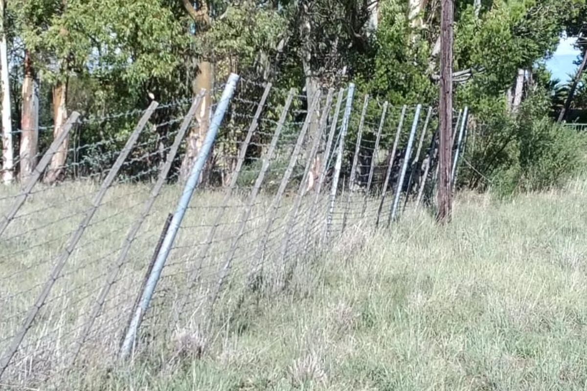 VACANT LAND. VERY SAFE AREA.   AFFORDABLE PRICE. ONE SIDE HAVE  A SMALL BUSHY AREA. - Photo 2