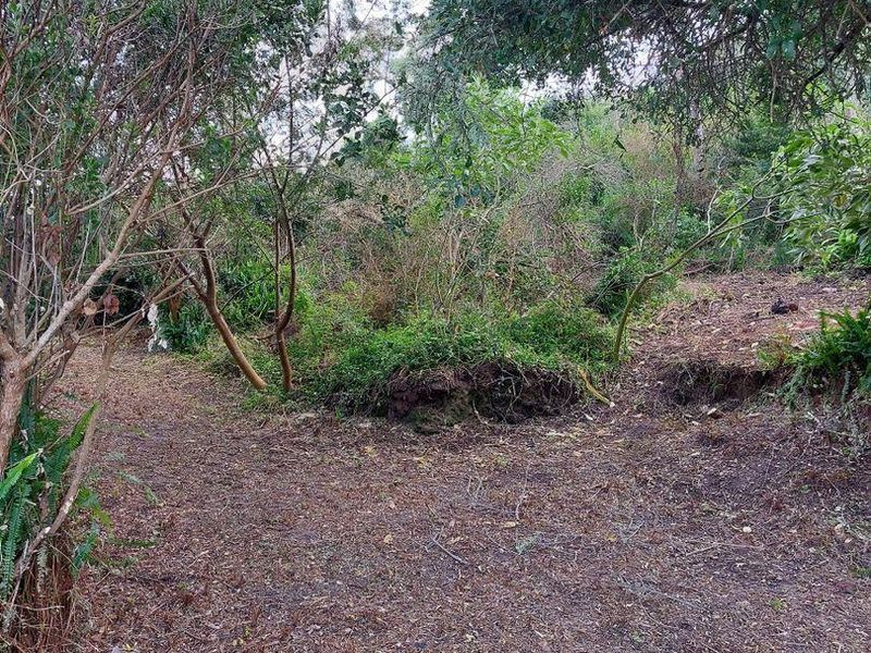 Vacant Land in Paradise - Photo 5