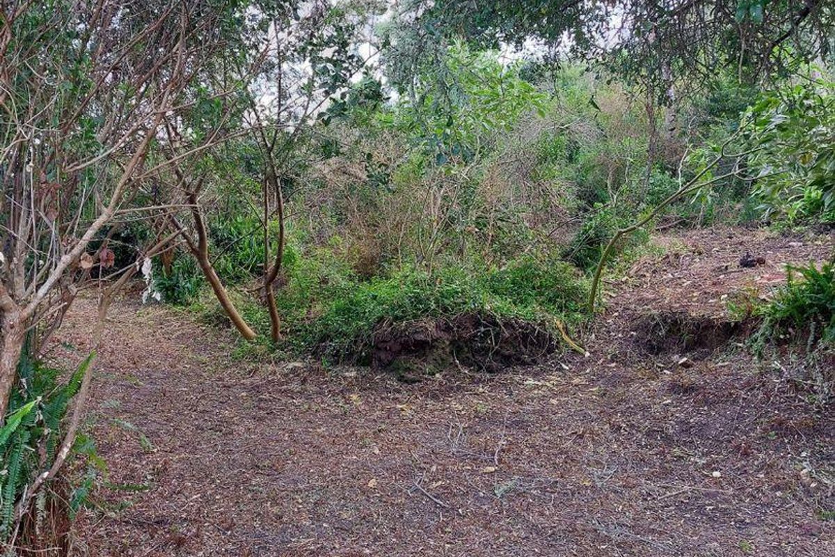 Vacant Land in Paradise - Photo 5